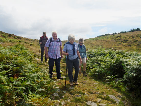 2.Mynydd Nefyn
29/7/21. Photo: Dafydd Williams.
Keywords: Jul21 Thursday Miriam Heald
