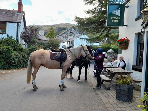 7.Rowen- Pen-y-Gaer
17/10/21. No. Members did not arrive at the pub on horseback. Photo: Judith Thomas.
Keywords: Oct21 Sunday Annie Andrew Jean Norton