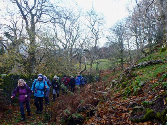 2.Foel Offrwn & Precipice walk
21/11/21. Climbing nearly over for the time being as we approach Llyn Cynwch (reservoir). 
Keywords: Nov21 Sunday Noel Davey