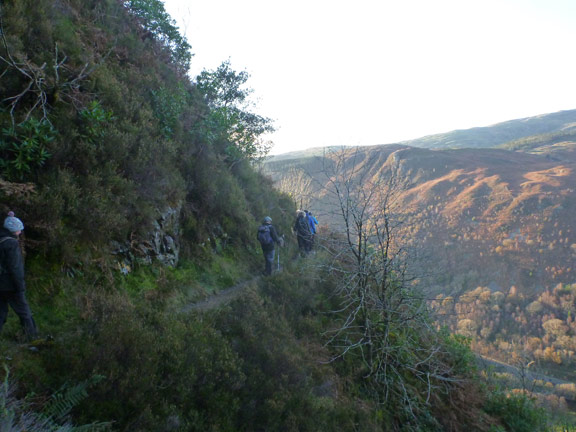 6.Foel Offrwn & Precipice walk
21/11/21.  Part of the Precipice walk which runs above the A470, which is down to the right.
Keywords: Nov21 Sunday Noel Davey