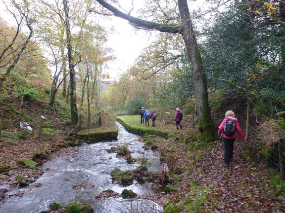 1.Rhyd Circular
14/11/21. Just down from the A487 at the start of the walk close to Hafod-talog.
Keywords: Nov21 Sunday Dafydd Williams