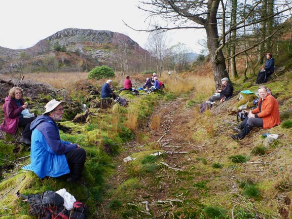 4.Rhyd Circular
14/11/21. Lunch 200yds south of the Rhyd road with Moel-y-Llys in the background.
Keywords: Nov21 Sunday Dafydd Williams