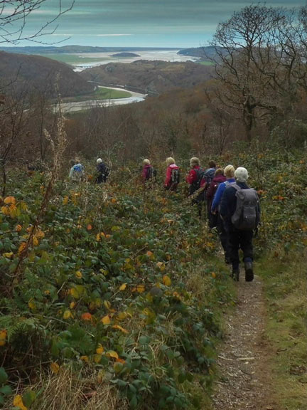 7.Rhyd Circular
14/11/21. Looking down from the top of the ridge over Afon Dwyryd its estuary, Portmeirion and Tremadog Bay. Photo: Gwynfor Jones.
Keywords: Nov21 Sunday Dafydd Williams