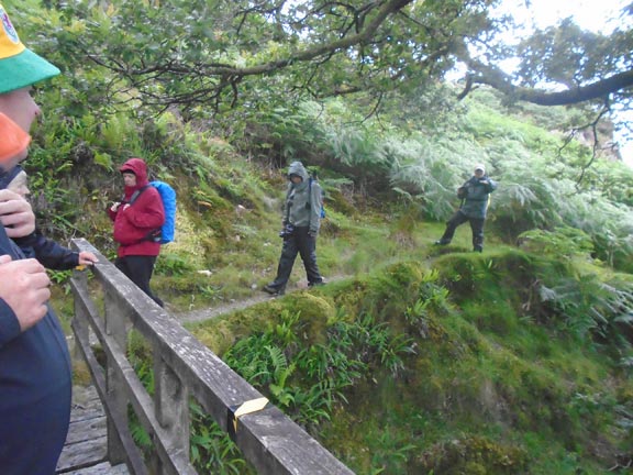 2.Cronfa Tanygrisiau
5/8/21. The bridge crossing Afon Nant Du. Photo: Dafydd Williams.
Keywords: Aug21 Thursday Tecwyn Williams