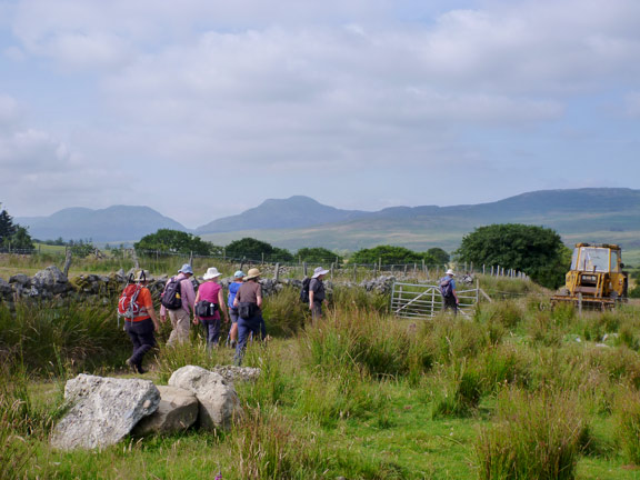 2.Yr Ysgwrn
25/7/21. Walking west from Plas Capten to meet a single track road which leads up to the Roman Kilns. 
Keywords: Jul21 Sunday Dafydd Williams