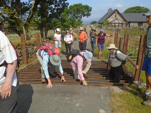 4.Yr Ysgwrn
25/7/21. The rescue of a lamb (out of sight) which fell between the rails of the cattle grid. Photo: Rescue successful. Dafydd Williams.
Keywords: Jul21 Sunday Dafydd Williams