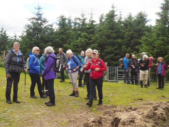 9.Arenig Fawr - Moel Llyfnant
03/07/22.  Still on the dismantled railway track. all present and correct. Photo: Dafydd Williams.
Keywords: Jul22 Sunday Gareth Hughes Dafydd Williams