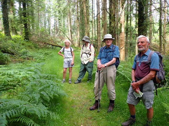 2.Beddgelert Forest
17/07/22. In the shade of the forest between Llyn Llywelyn and Castell.
Keywords: Jul22 Sunday Gwynfor Jones