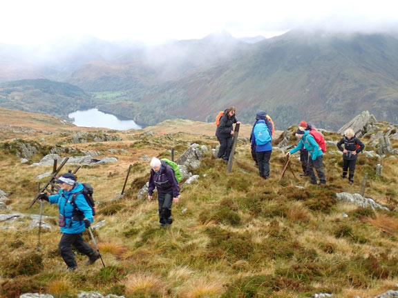6.Carnedd y Cribau
23/10/22. The last few yards before reaching the summit of Carnedd y Cribau. Nant Gwynant and Llyn Gwynant in the valley below and the Snowdon Horseshoe pushing into the clouds in the background.
