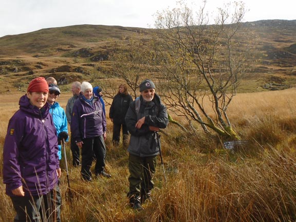 7.Carnedd y Cribau
23/10/22. The crash site marked by the tree to the right of our group. Photo: Dafydd Williams.
Keywords: Oct22 Sunday Dafydd Williams