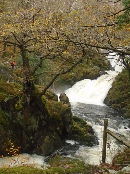 2.Coed y Brenin
10/11/22. Rheaedr Du close to the start at Ganllwyd. Photo: Dafydd Williams.
Keywords: Nov22 Thursday Noel Davey Nick White