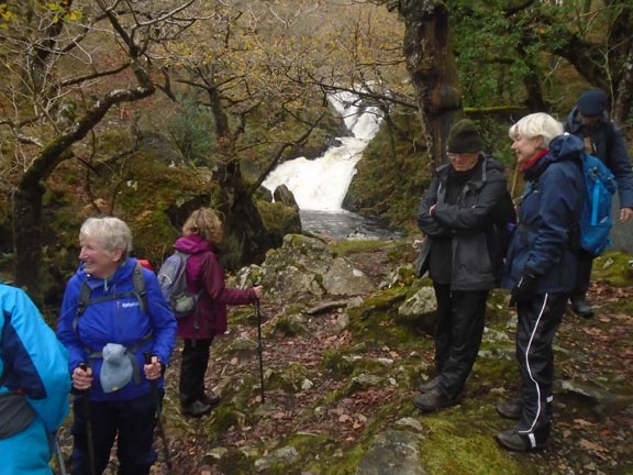 3.Coed y Brenin
10/11/22. Again with members of the club. Photo: Dafydd Williams.
Keywords: Nov22 Thursday Noel Davey Nick White