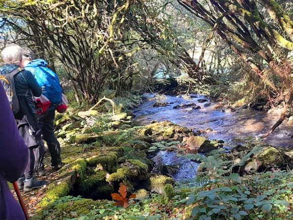 4.Dolwyddelan-Cwm Penamnen-Castle
13/10/22. Close to the A470 and Roman Bridge near Bertheos. Photo: Judith Thomas.
Keywords: Oct22 Thursday Dafydd Williams