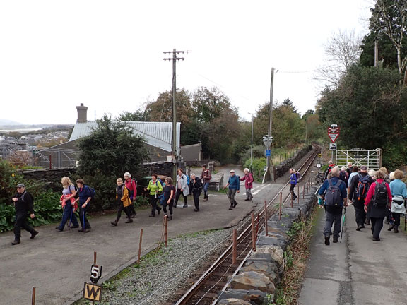 8.Amgylch Penrhyndeudraeth Circular
27/10/22.  Crossing the Ffestiniog Railway line at the Penrhyn Station.
Keywords: Oct22 Thursday Tecwyn Williams