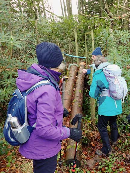 3.Llwybrau- Y Ffor- Paths
8/12/22. A major obstacle. Close to Ffynnon Brasi and Llyn Glasfryn. A slanting bridge made out of long narrow poles and crossing over a deep ditch. Some successfully negotiated it others took an alternative track. 
Keywords: Dec22 Thursday Kath Mair