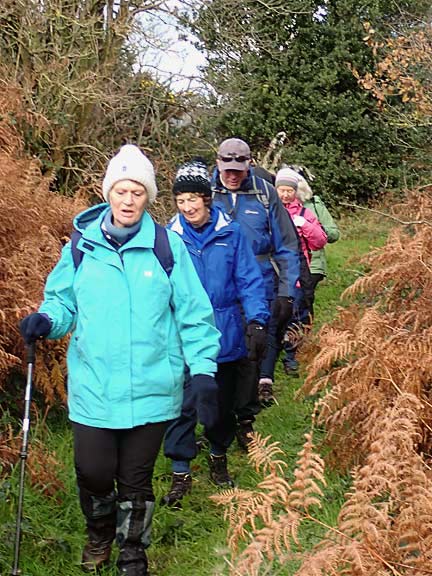 6.Llwybrau- Y Ffor- Paths
8/12/22. We retrace our outward route having left the tarmac, and make our way towards Penarth Uchaf.
Keywords: Dec22 Thursday Kath Mair