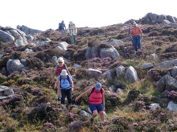 5.Moel Druman - Yr Arddu
14/08/22. Close to the summit of Foel Goch from the higher Yr Arddu. The descent has finally begun. Just 1100ft to go.
Keywords: Aug22 Sunday Hugh Evans