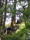 Filename=LlynGwynant30.jpg
Filesize=69KiB
Dimensions=432x576
Date added=Oct 04, 2022 LlynGwynant30.jpg
