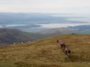 Filename=MoelHebog13.jpg
Filesize=52KiB
Dimensions=576x432
Date added=Sep 15, 2022 MoelHebog13.jpg