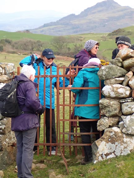 4..Club AGM & Criccieth Circular Walk
2/3/23. This kissing gate is always a problem. Unless you are built like a bean pole you have to take your rucksack off. There is always someone   trying to avoid removing their rucksack. The westerly peak of Moel Y Gest in the background.
Keywords: Mar23 Thursday Dafydd Williams