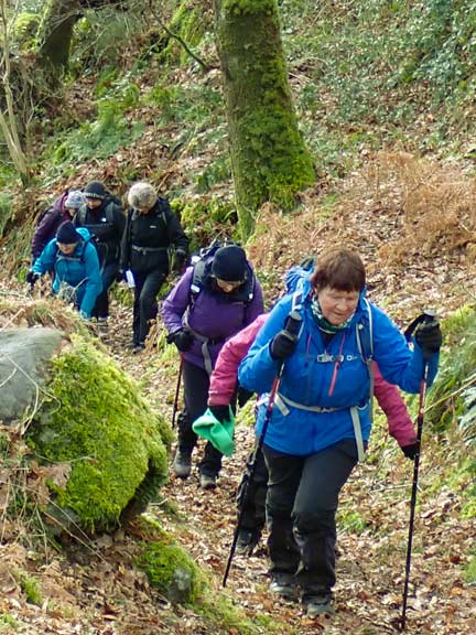 2.Capel Curig
2/2/23. The steep climb up from Bryn Glô near Nyth Bran. Slow and steady does the trick.
Keywords: Feb23 Thursday Jean Norton Annie Andrew