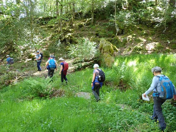 3.Capel Garmon
25/05/23.  Just beyond Pant-y-Pwll working our way through woodland.
Keywords: May23 Thursday Annie Andrew Jean Norton