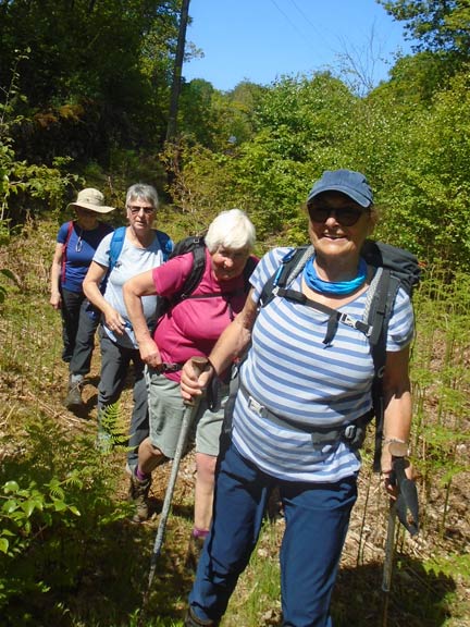 4.Capel Garmon
25/05/23. A bit further on from Pant-y-Pwll. Photo Dafydd Williams.
Keywords: May23 Thursday Annie Andrew Jean Norton