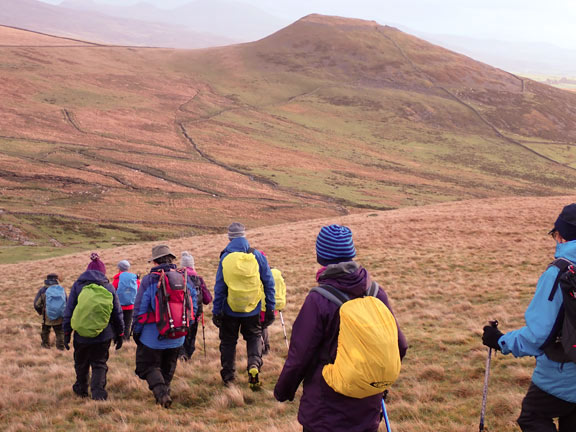 4.Clynnog Hills
1/1/23.  Descending Moel Bronmiod with the peak of Pen-y-Gaer in the distance on the right.
Keywords: Jan23 Sunday Noel Davey