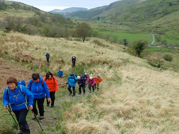 2.Cwm Pennant
27/04/23. Climbing up from the car park looking back down the valley.
Keywords: Apr23 Thursday Annie Andrews