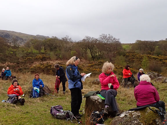 4.Cwm Pennant
27/04/23. The morning break close to Tyddyn Mawr.
Keywords: Apr23 Thursday Annie Andrews