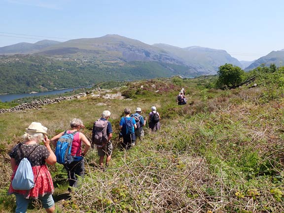 5.Cwm-y-Glo
8/6/23. Travelling south east with Nant Peris on our left with the Llanberis Pass ahead.
Keywords: Jun23 Thursday Elsbeth Gwynne