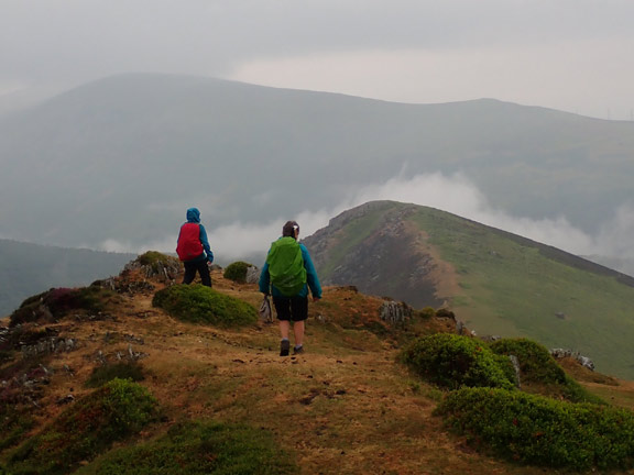 6.Llanfairfechan - Drum
18/06/23.  About to descend to the saddle between Foel-Ganol and the peak beyond Foel Dduarth.
Keywords: Jun23 Sunday Kath Spencer