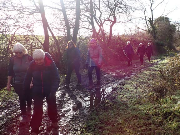 3.Eifionydd Circular
29/1/23. A muddier part of Lon Goed.
Keywords: Jan23 Sunday Kath Spencer