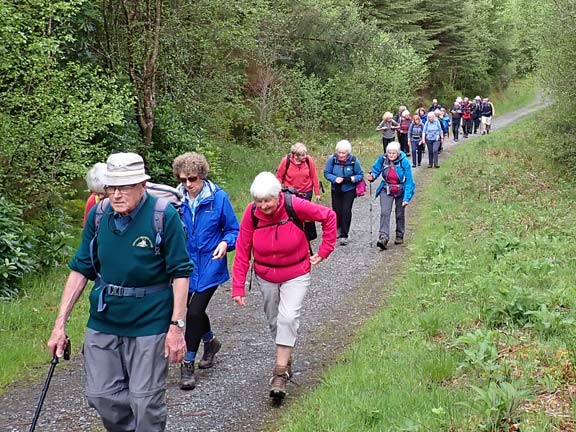 3.Lôn  Gwyrfai
11/5/23. In the midst of the Beddgelert Forest close to Parcygadair.
Keywords: May23 Thursday Dafydd Williams