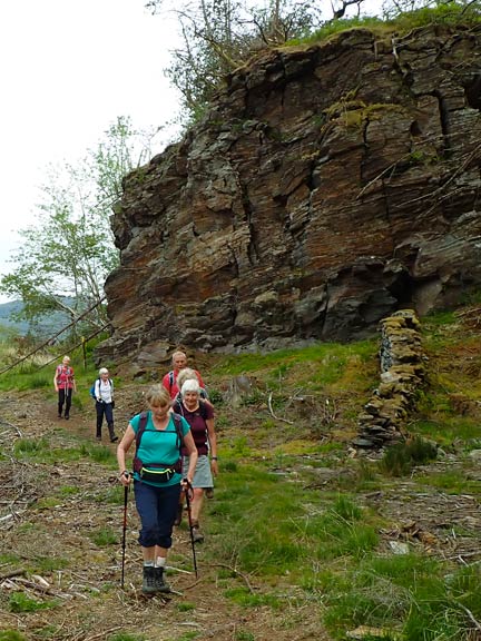 2. Maentwrog - Bryn Cader Baner
21/05/23.  After about a mile we have finally climbed out of Ceunant Llennyrch into Cae'n-y-Coed, but no coed it has all been felled.
Keywords: May23 Sunday Hugh Evans