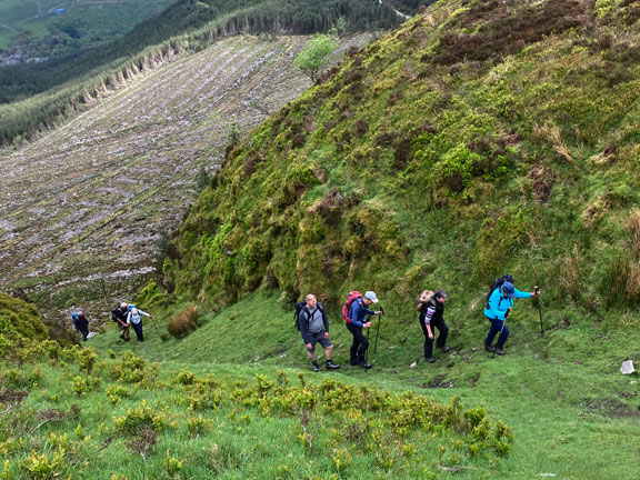 3.Tarren Hills
7/5/23. Emerging a few at a time at the top of the steep track. Photo: Annie Andrew.
Keywords: May23 Sunday Gareth Hughes