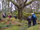 Filename=LlynCrafnant06.jpg
Filesize=69KiB
Dimensions=576x432
Date added=Apr 30, 2023 LlynCrafnant06.jpg