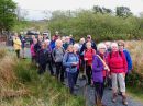 Filename=LonGwyrfai22.jpg
Filesize=70KiB
Dimensions=576x432
Date added=May 16, 2023 LonGwyrfai22.jpg