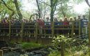 Filename=LonGwyrfaiDW42.jpg
Filesize=70KiB
Dimensions=576x360
Date added=May 16, 2023 LonGwyrfaiDW42.jpg