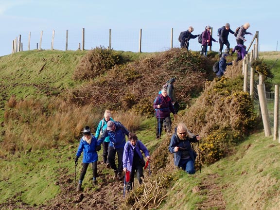 6. Aberdaron - Porth Ysgo
1/2/24. One way of dealing with all the mud created by grazing cattle.
Keywords: Feb24 Thursday Ann Jones