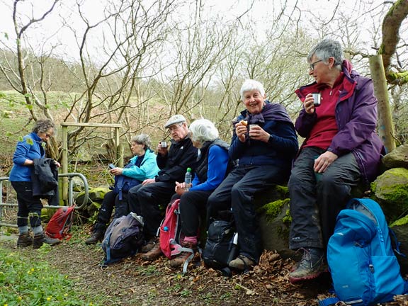 6. Afon Ogwen Circuit
11/4/24. Lunch with seating for all, in woodland, just above a small stream with flowering Wood Anemones and Lesser Celandine.
Keywords: Apr24 Thursday Kath Mair