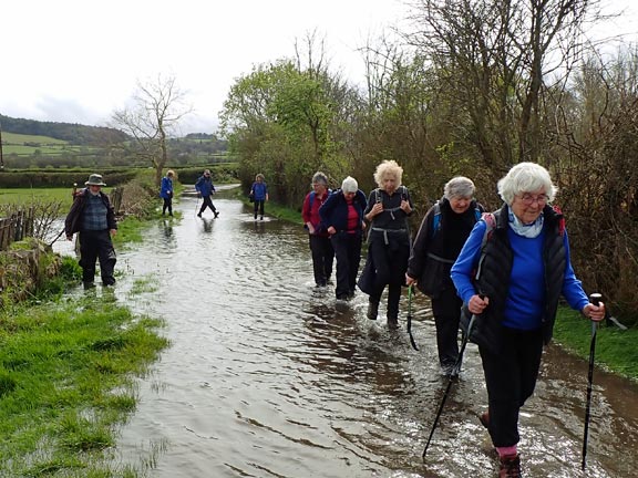8. Afon Ogwen Circuit
11/4/24. Within yards of the end of the walk. The water is deeper than it was in the morning. One person probably got wet socks!
Keywords: Apr24 Thursday Kath Mair