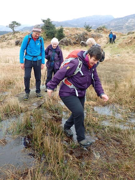 6.Beddgelert-Blaen Nanmor
28/1/24. Not far from Hafod Owen the going gets a bit damp. There should be a stepping stone just under the surface of the water! 
Keywords: Jan24 Sunday Hugh Evans