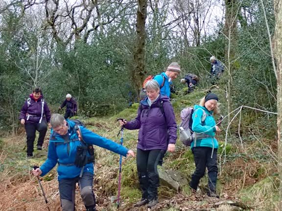 7.Beddgelert-Blaen Nanmor
28/1/24. Coming down through the woodland to Nant Gwynant with its solid path. Just 2.5 miles of easy walking back to Beddgelert.
Keywords: Jan24 Sunday Hugh Evans