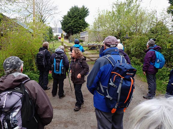 3. Peacock Walk- Bontnewydd - Waunfawr.
25/04/24.  And peacocks everywhere, in the bushes, in yards, and on roofs.
Keywords: Apr24 Thursday Tecwyn Williams