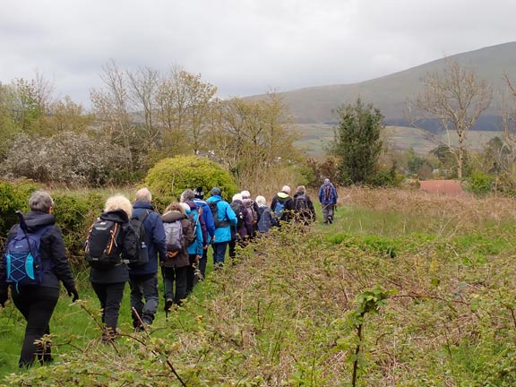 5. Peacock Walk- Bontnewydd - Waunfawr.
25/04/24.  Leaving the Snowdonia Riding Stables.
Keywords: Apr24 Thursday Tecwyn Williams