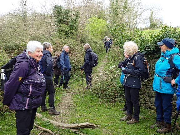 8. Peacock Walk- Bontnewydd - Waunfawr.
25/04/24. Close to Plas-y-bryn farm walking down a long narrow path between two stone walls.
Keywords: Apr24 Thursday Tecwyn Williams