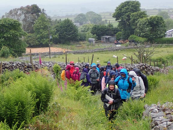2.Cae Amos
13/.6/24. About half a mile from the start and approaching Pen-y-Braich.
Keywords: Jun24 Thursday Judith Thomas Kath Mair