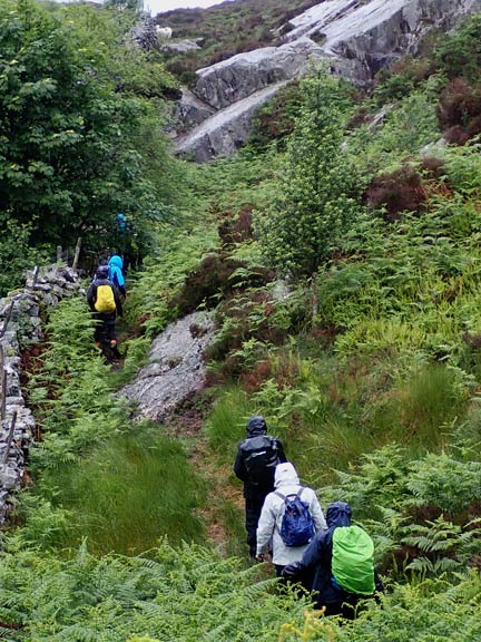 3.Cae Amos
13/.6/24. The path gets a bit narrower and very uneven which slows down the pace. This is Bwlch-y-Bedol which takes us up above Cae Amos.
Keywords: Jun24 Thursday Judith Thomas Kath Mair
