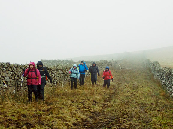 6.Clynnog Hills - Bwlch Mawr
14/01/23. Between two walls close to Clipiau and Clawdd Siri. Very badly poached by cattle.
Keywords: Jan23 Sunday Noel Davey